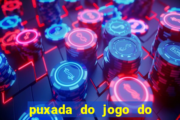 puxada do jogo do bicho da sueli